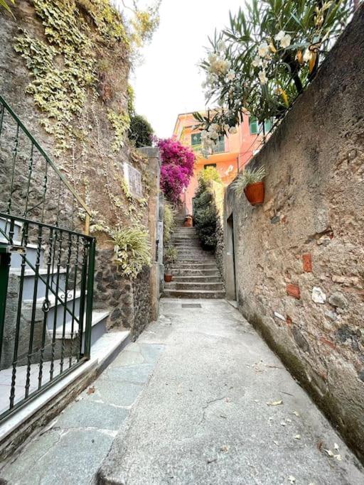 Historic Downtown Home By The Sea With King Bed مونتيروسّو ال ماري المظهر الخارجي الصورة